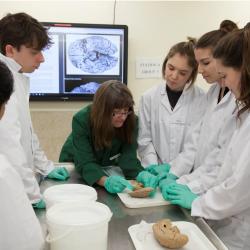 Human Anatomy Centre
